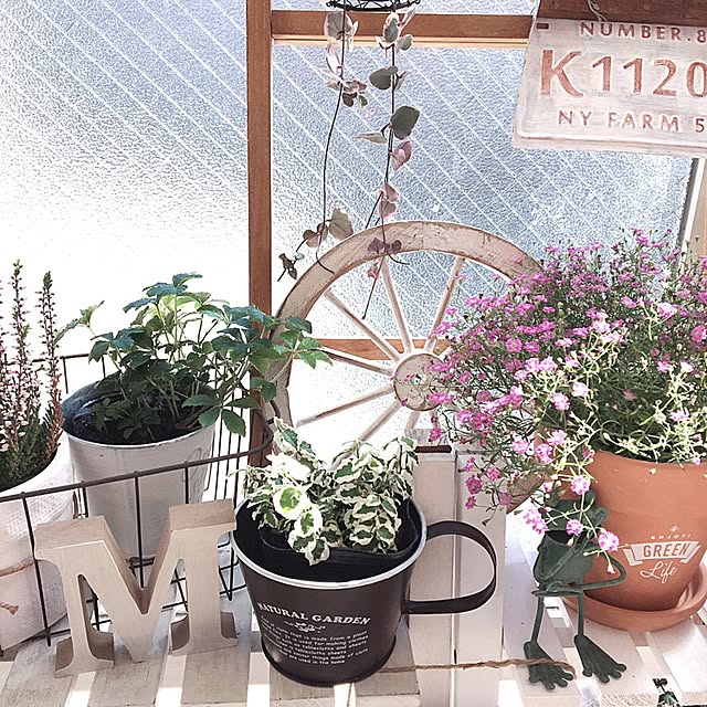 mutsumiさんの実例写真