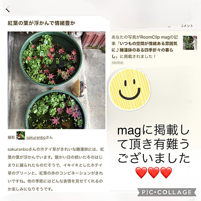 sakuranboさんの実例写真