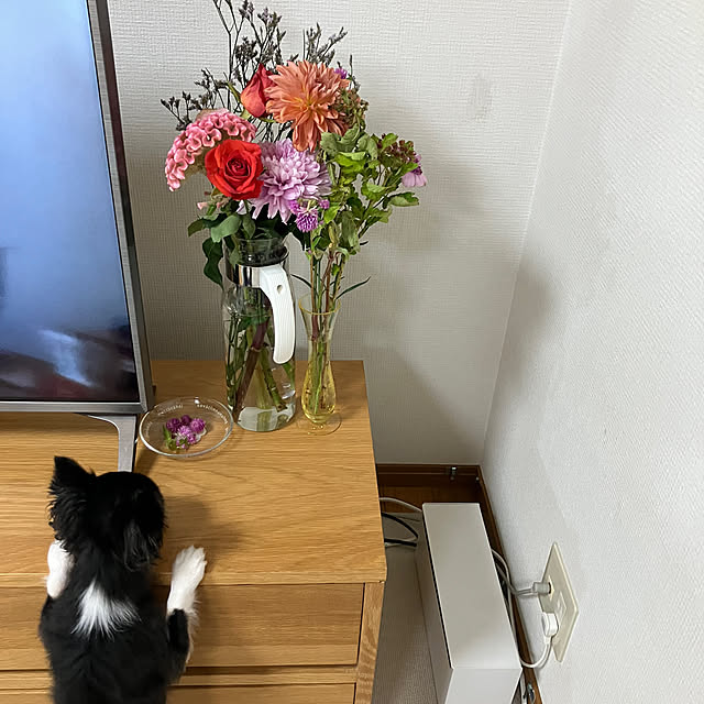 koroさんの部屋