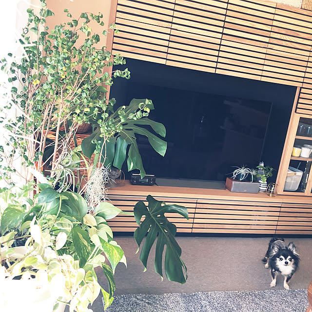 Harumiさんの実例写真