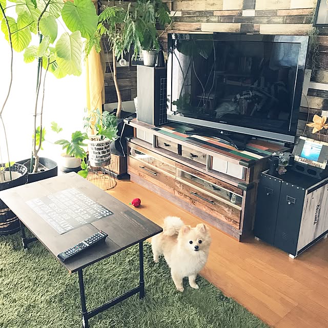 franさんの実例写真