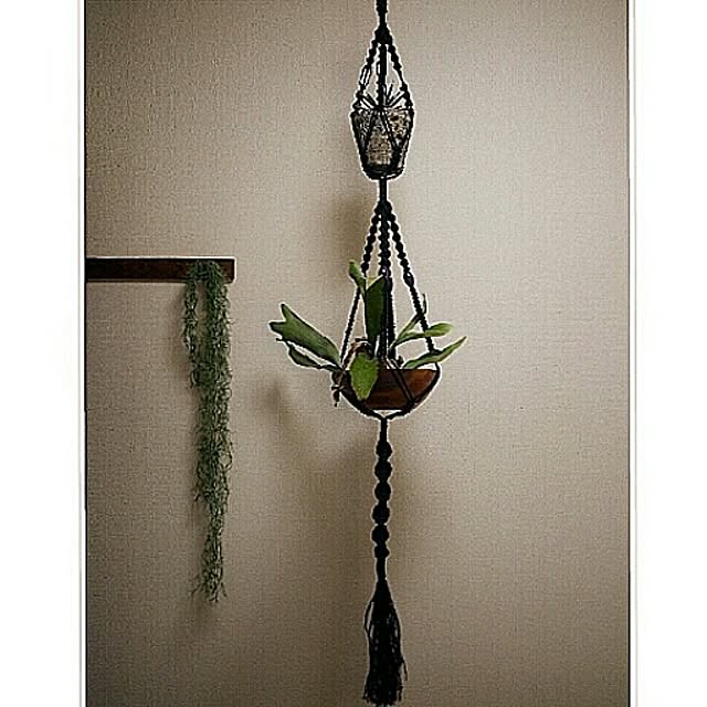 usukoさんの実例写真