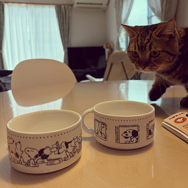 chiiさんのお部屋の写真