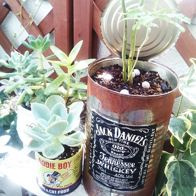 VERANDARJUNさんの実例写真