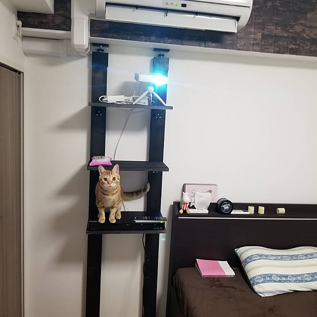 hanachanさんの実例写真