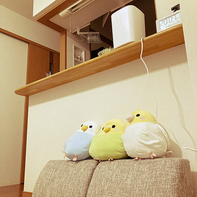 chappさんの実例写真