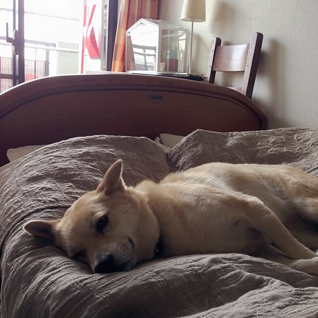 leonaさんの実例写真