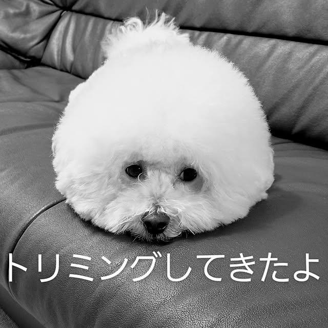 takoさんの実例写真