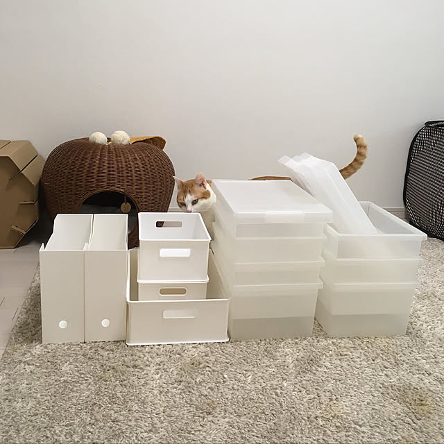 bikkeさんの実例写真