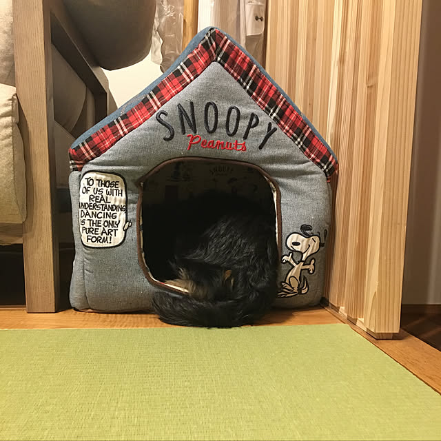 KCFSARさんの実例写真