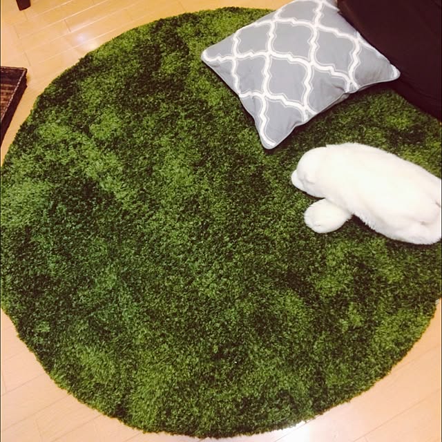 miSaさんの実例写真