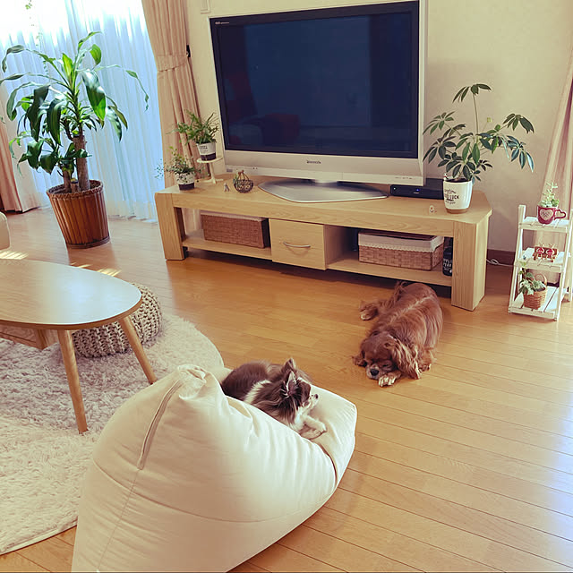 kanaさんの実例写真