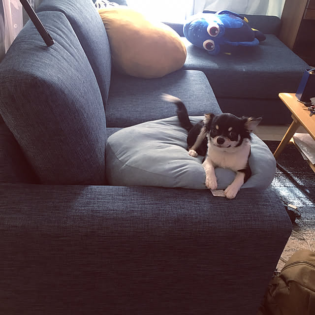 nさんの実例写真