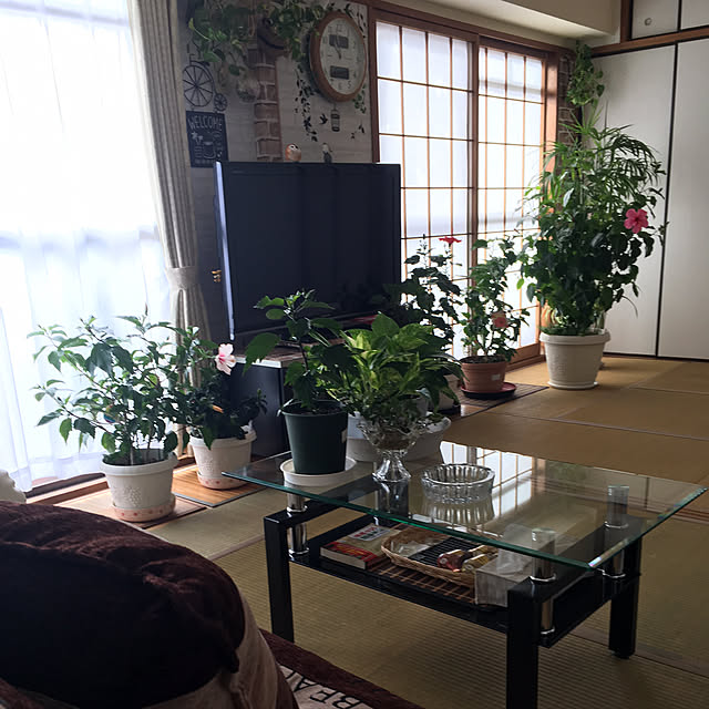 実例写真