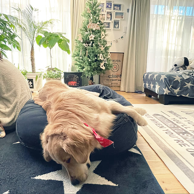 marinkoさんの実例写真