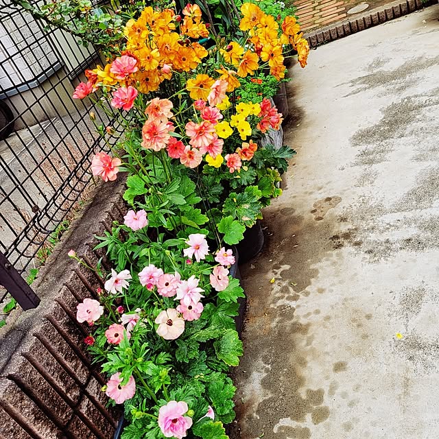 mimi828さんの実例写真
