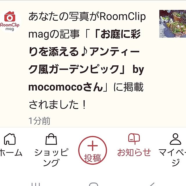 mocomocoさんの部屋