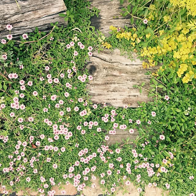 GreenWorksさんの実例写真