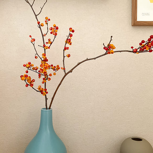 tokonekoさんの部屋