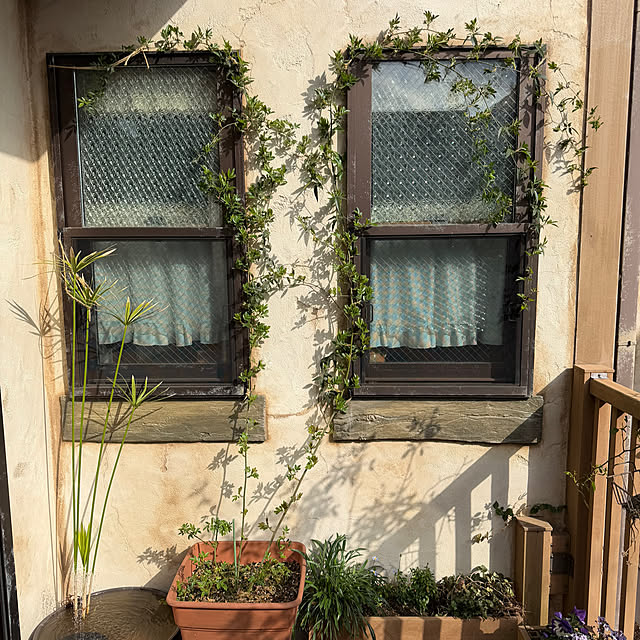 tabasaさんの実例写真