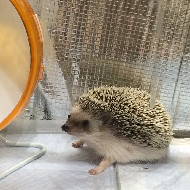 NaoMさんの実例写真