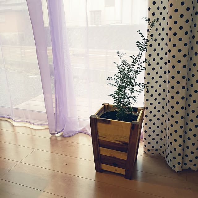 saさんの実例写真