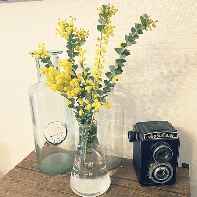 RIKAさんの実例写真