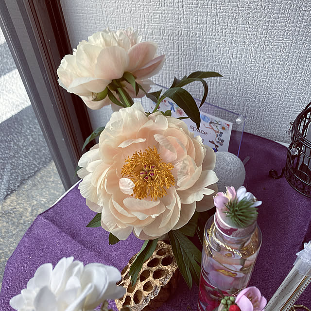 reeさんの実例写真