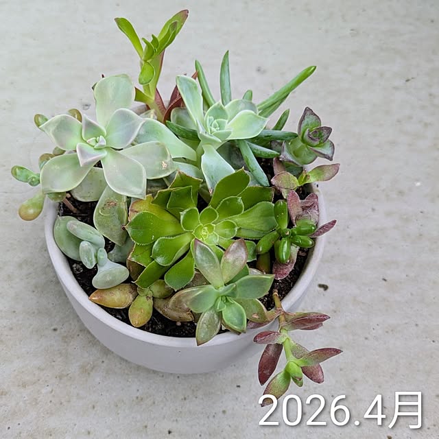 leaf_homeさんの実例写真