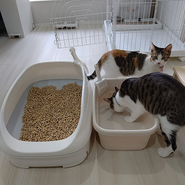 kumaさんの実例写真