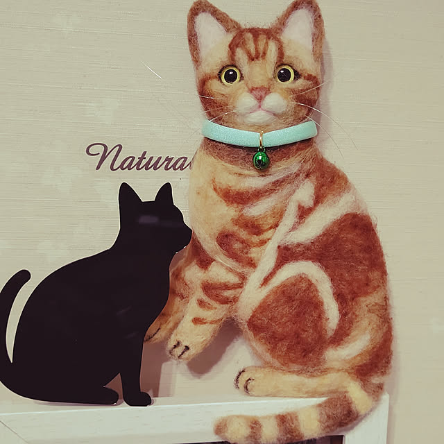 maicoさんの実例写真