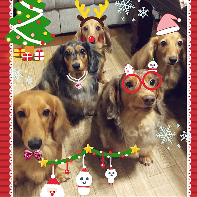 pamyureさんの実例写真