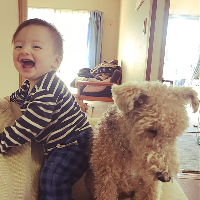 kypさんの実例写真