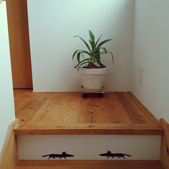 Rudyさんの実例写真