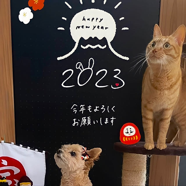 kikiさんの実例写真