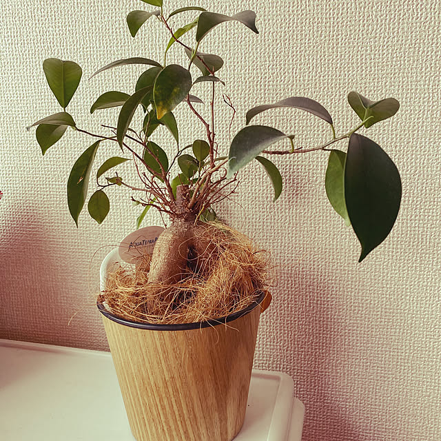 muchioさんの実例写真