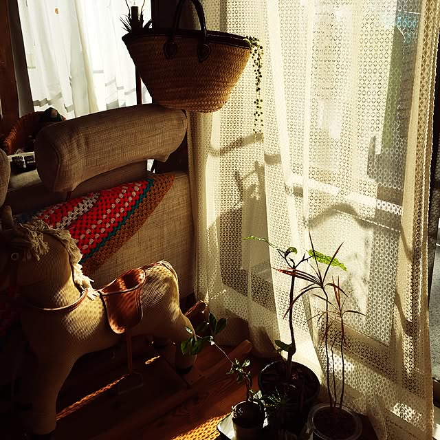 chi-chi-さんの実例写真