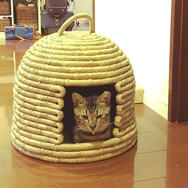 akkorosukeさんの実例写真