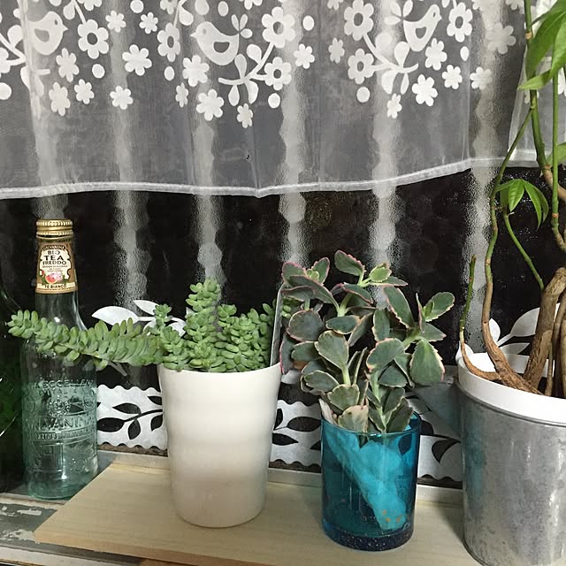 moss.shinobu713さんの実例写真