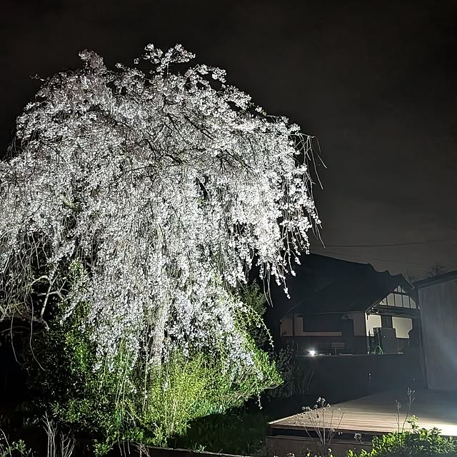 artfieldさんの実例写真