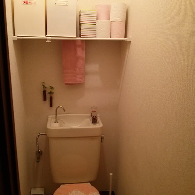 バス/トイレのインテリア実例 - 2014-06-24 00:23:43
