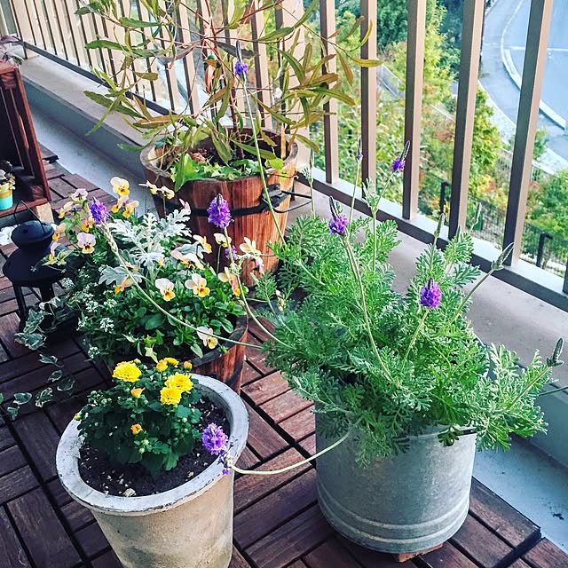 ffgreenさんの実例写真