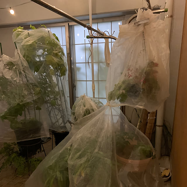 Aqettyさんの部屋