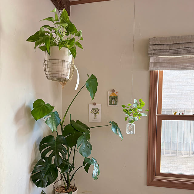 67さんの実例写真