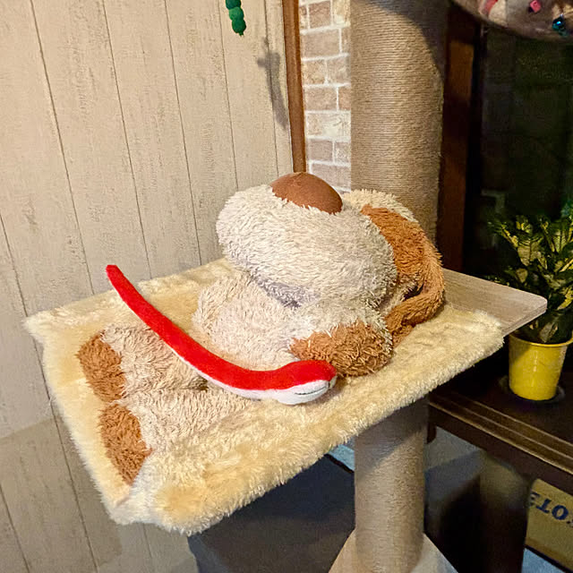 tututu0204さんの部屋