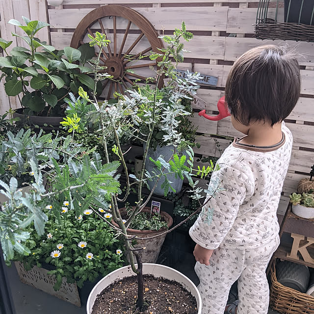 ichi.さんの実例写真