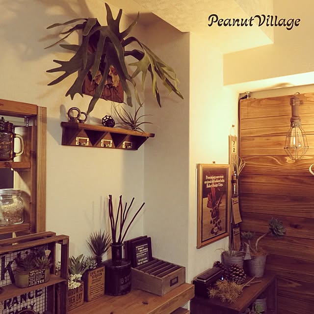 PeanutVillageさんの実例写真