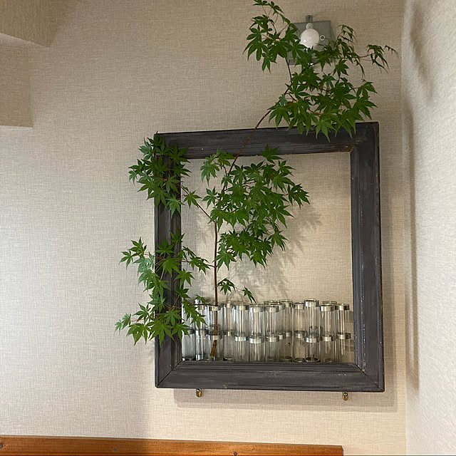 colorerさんの実例写真
