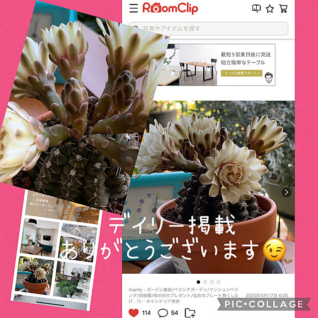 Aqettyさんの実例写真