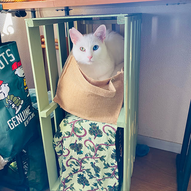 SHIHOさんの実例写真